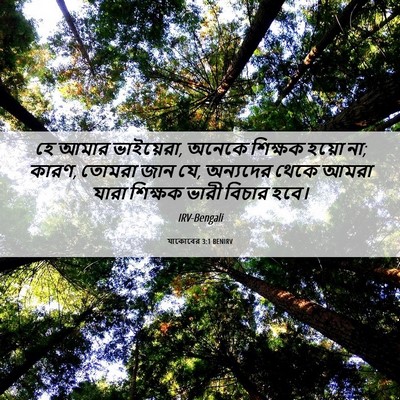 Picture 06 - যাকোবের 3:1 BENIRV - হে আমার ভাইয়েরা, - Bible Verse Picture