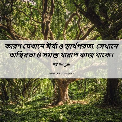 Picture 06 - যাকোবের 3:16 BENIRV - কারণ যেখানে ঈর্ষা - Bible Verse Picture