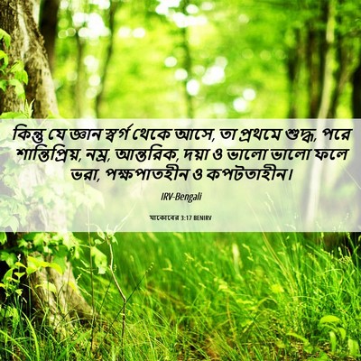Picture 06 - যাকোবের 3:17 BENIRV - কিন্তু যে জ্ঞান - Bible Verse Picture