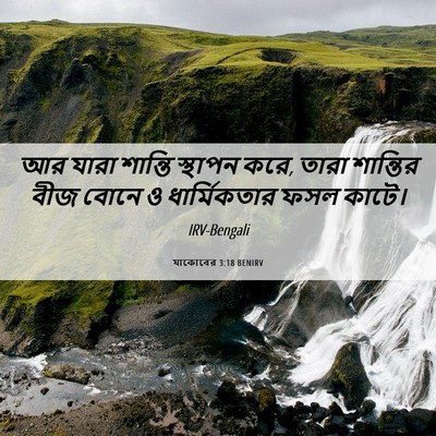 Picture 06 - যাকোবের 3:18 BENIRV - আর যারা শান্তি - Bible Verse Picture