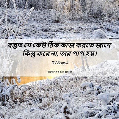 Picture 06 - যাকোবের 4:17 BENIRV - বস্তুত যে কেউ ঠিক - Bible Verse Picture