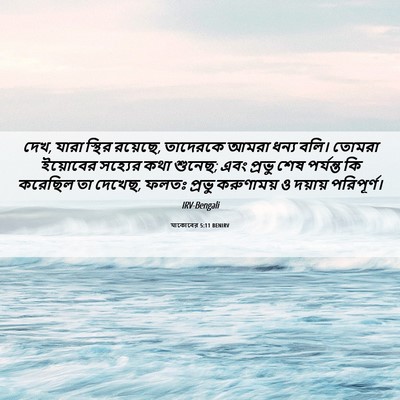 Picture 06 - যাকোবের 5:11 BENIRV - দেখ, যারা স্থির - Bible Verse Picture
