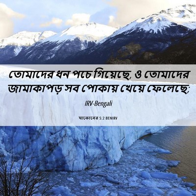 Picture 06 - যাকোবের 5:2 BENIRV - তোমাদের ধন পচে - Bible Verse Picture