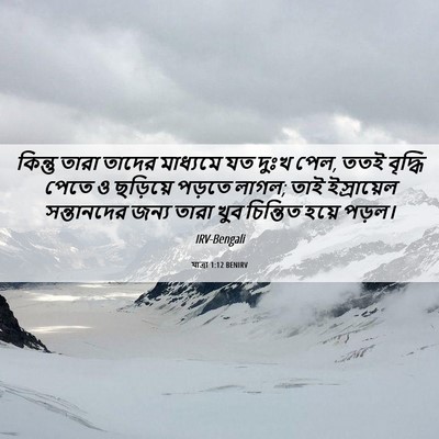 Picture 06 - যাত্ৰা 1:12 BENIRV - কিন্তু তারা তাদের - Bible Verse Picture