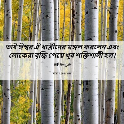 Picture 06 - যাত্ৰা 1:20 BENIRV - তাই ঈশ্বর ঐ - Bible Verse Picture