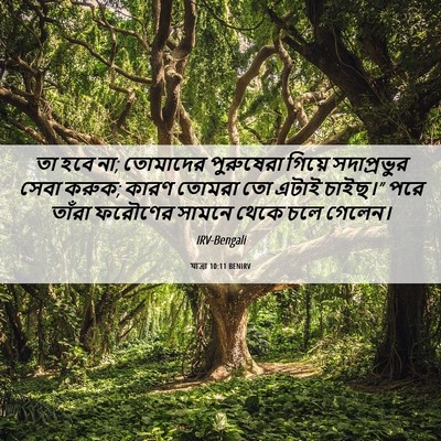 Picture 06 - যাত্ৰা 10:11 BENIRV - তা হবে না; তোমাদের - Bible Verse Picture