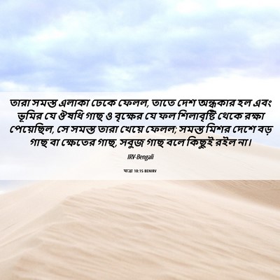 Picture 06 - যাত্ৰা 10:15 BENIRV - তারা সমস্ত এলাকা - Bible Verse Picture