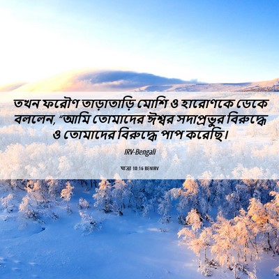 Picture 06 - যাত্ৰা 10:16 BENIRV - তখন ফরৌণ - Bible Verse Picture