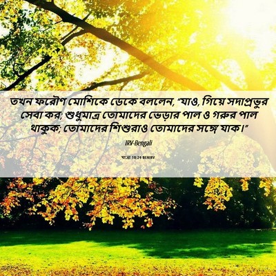 Picture 06 - যাত্ৰা 10:24 BENIRV - তখন ফরৌণ মোশিকে - Bible Verse Picture