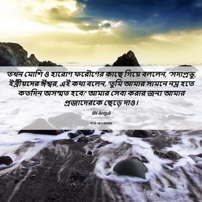 Picture 06 - যাত্ৰা 10:3 BENIRV - তখন মোশি ও হারোণ - Bible Verse Picture