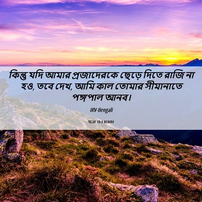 Picture 06 - যাত্ৰা 10:4 BENIRV - কিন্তু যদি আমার - Bible Verse Picture