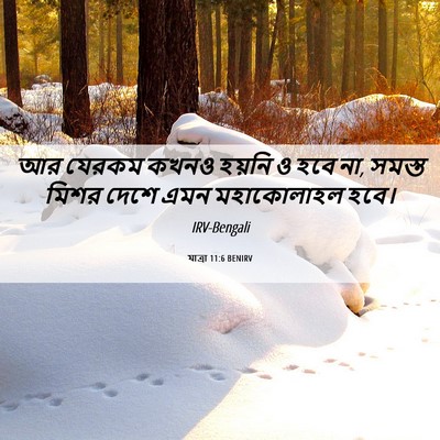 Picture 06 - যাত্ৰা 11:6 BENIRV - আর যেরকম কখনও - Bible Verse Picture