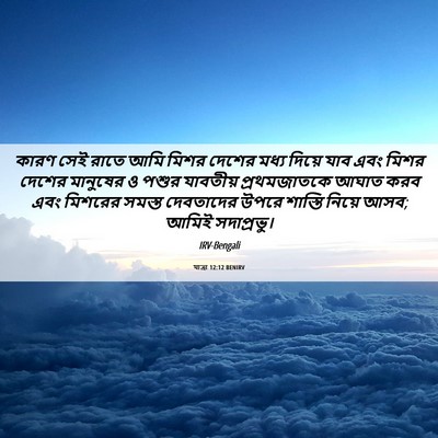 Picture 06 - যাত্ৰা 12:12 BENIRV - কারণ সেই রাতে আমি - Bible Verse Picture