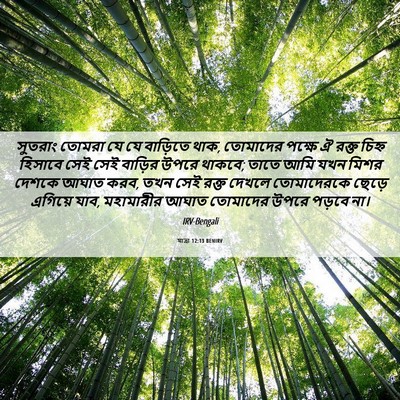 Picture 06 - যাত্ৰা 12:13 BENIRV - সুতরাং তোমরা যে যে - Bible Verse Picture