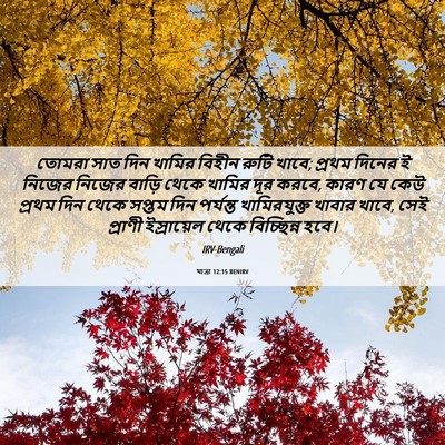 Picture 06 - যাত্ৰা 12:15 BENIRV - তোমরা সাত দিন - Bible Verse Picture