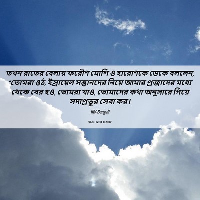Picture 06 - যাত্ৰা 12:31 BENIRV - তখন রাতের বেলায় - Bible Verse Picture