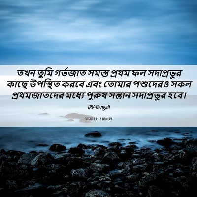 Picture 06 - যাত্ৰা 13:12 BENIRV - তখন তুমি গর্ভজাত - Bible Verse Picture