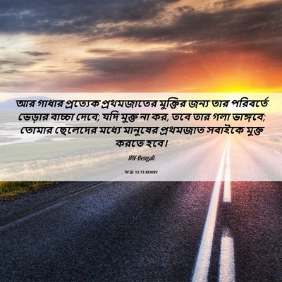 Picture 06 - যাত্ৰা 13:13 BENIRV - আর গাধার প্রত্যেক - Bible Verse Picture