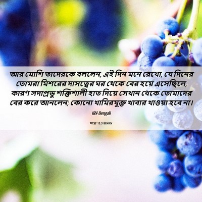 Picture 06 - যাত্ৰা 13:3 BENIRV - আর মোশি তাদেরকে - Bible Verse Picture