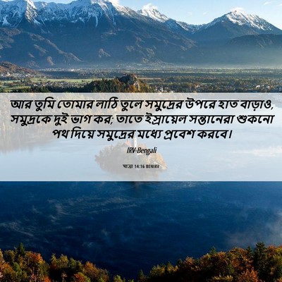 Picture 06 - যাত্ৰা 14:16 BENIRV - আর তুমি তোমার লাঠি - Bible Verse Picture