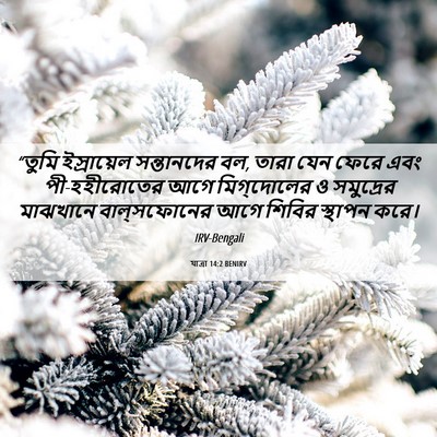 Picture 06 - যাত্ৰা 14:2 BENIRV - “তুমি ইস্রায়েল - Bible Verse Picture