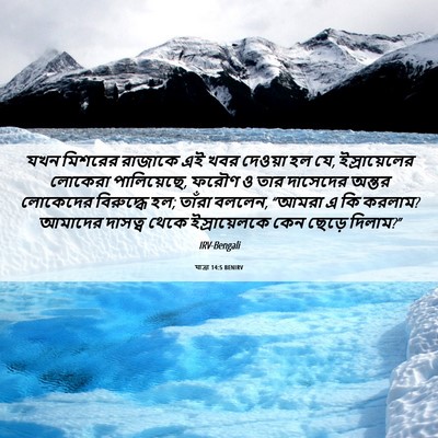 Picture 06 - যাত্ৰা 14:5 BENIRV - যখন মিশরের রাজাকে - Bible Verse Picture