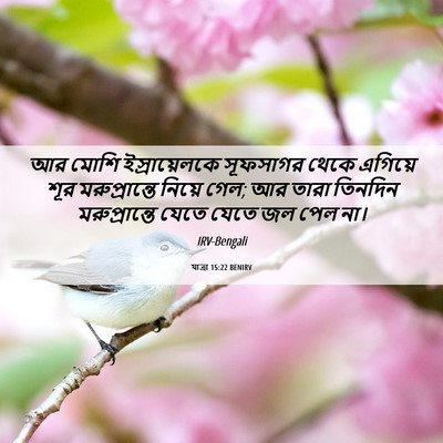 Picture 06 - যাত্ৰা 15:22 BENIRV - আর মোশি - Bible Verse Picture
