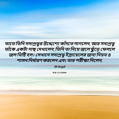 Picture 06 - যাত্ৰা 15:25 BENIRV - তাতে তিনি - Bible Verse Picture