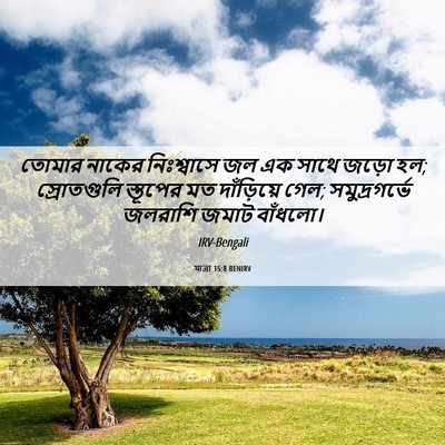 Picture 06 - যাত্ৰা 15:8 BENIRV - তোমার নাকের - Bible Verse Picture