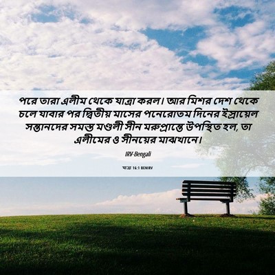 Picture 06 - যাত্ৰা 16:1 BENIRV - পরে তারা এলীম থেকে - Bible Verse Picture