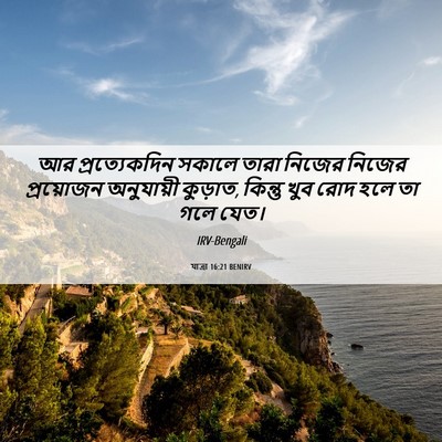 Picture 06 - যাত্ৰা 16:21 BENIRV - আর প্রত্যেকদিন - Bible Verse Picture