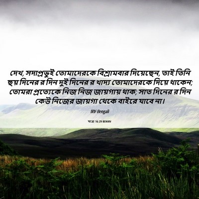 Picture 06 - যাত্ৰা 16:29 BENIRV - দেখ, সদাপ্রভুই - Bible Verse Picture