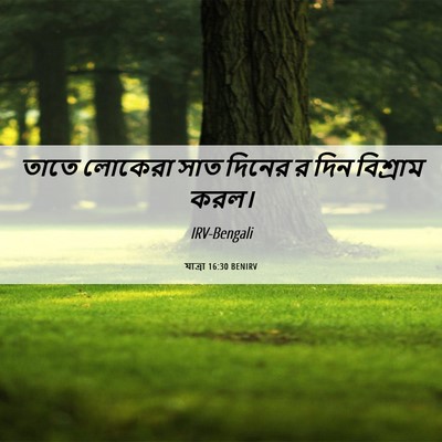 Picture 06 - যাত্ৰা 16:30 BENIRV - তাতে লোকেরা সাত - Bible Verse Picture
