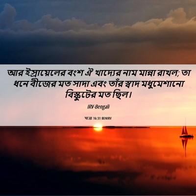 Picture 06 - যাত্ৰা 16:31 BENIRV - আর ইস্রায়েলের - Bible Verse Picture
