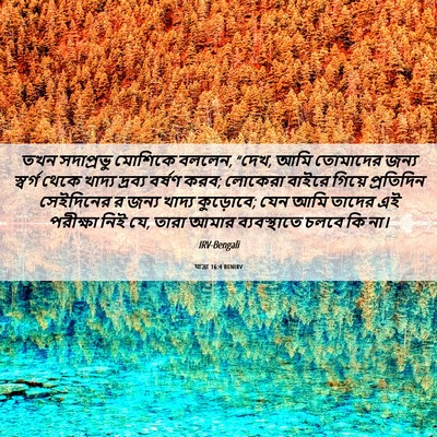 Picture 06 - যাত্ৰা 16:4 BENIRV - তখন সদাপ্রভু - Bible Verse Picture