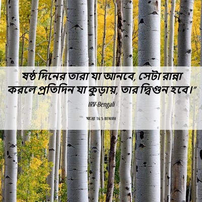 Picture 06 - যাত্ৰা 16:5 BENIRV - ষষ্ঠ দিনের তারা যা - Bible Verse Picture