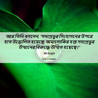 Picture 06 - যাত্ৰা 17:16 BENIRV - আর তিনি বললেন, - Bible Verse Picture
