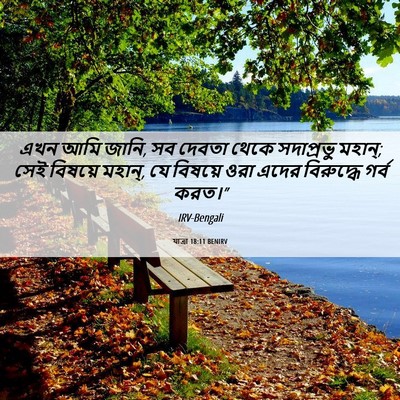 Picture 06 - যাত্ৰা 18:11 BENIRV - এখন আমি জানি, সব - Bible Verse Picture