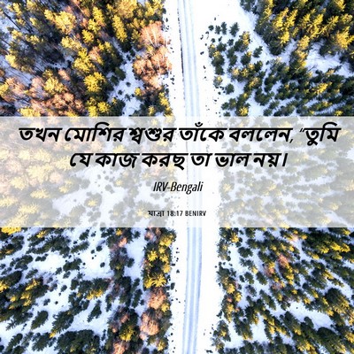 Picture 06 - যাত্ৰা 18:17 BENIRV - তখন মোশির শ্বশুর - Bible Verse Picture