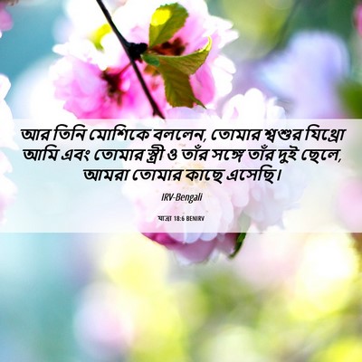 Picture 06 - যাত্ৰা 18:6 BENIRV - আর তিনি মোশিকে - Bible Verse Picture