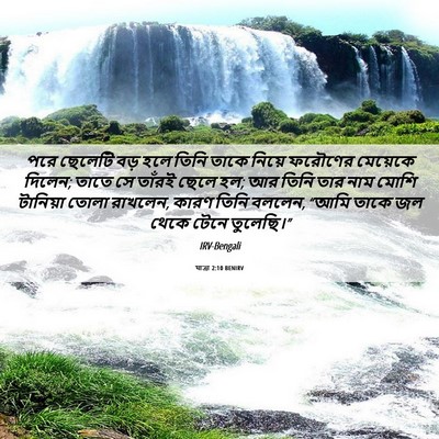 Picture 06 - যাত্ৰা 2:10 BENIRV - পরে ছেলেটি বড় হলে - Bible Verse Picture