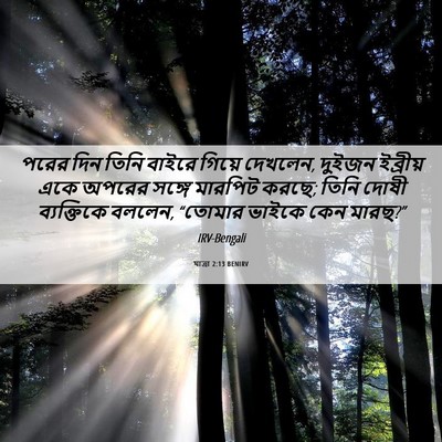 Picture 06 - যাত্ৰা 2:13 BENIRV - পরের দিন তিনি - Bible Verse Picture