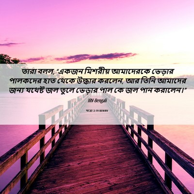 Picture 06 - যাত্ৰা 2:19 BENIRV - তারা বলল, “একজন - Bible Verse Picture