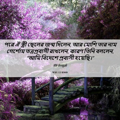 Picture 06 - যাত্ৰা 2:22 BENIRV - পরে ঐ স্ত্রী ছেলের - Bible Verse Picture
