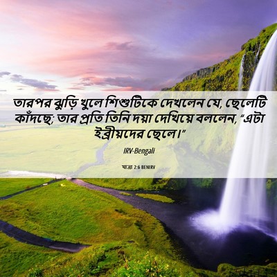Picture 06 - যাত্ৰা 2:6 BENIRV - তারপর ঝুড়ি খুলে - Bible Verse Picture