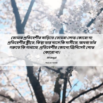 Picture 06 - যাত্ৰা 20:17 BENIRV - তোমার প্রতিবেশীর - Bible Verse Picture