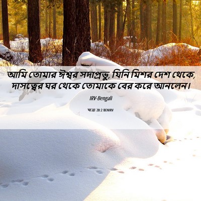 Picture 06 - যাত্ৰা 20:2 BENIRV - আমি তোমার ঈশ্বর - Bible Verse Picture