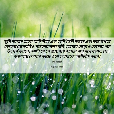 Picture 06 - যাত্ৰা 20:24 BENIRV - তুমি আমার জন্যে - Bible Verse Picture