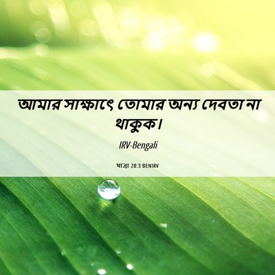 Picture 06 - যাত্ৰা 20:3 BENIRV - আমার সাক্ষাৎে - Bible Verse Picture