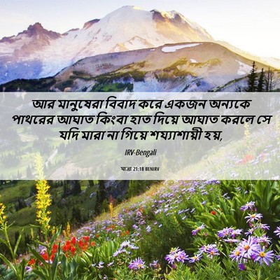 Picture 06 - যাত্ৰা 21:18 BENIRV - আর মানুষেরা বিবাদ - Bible Verse Picture